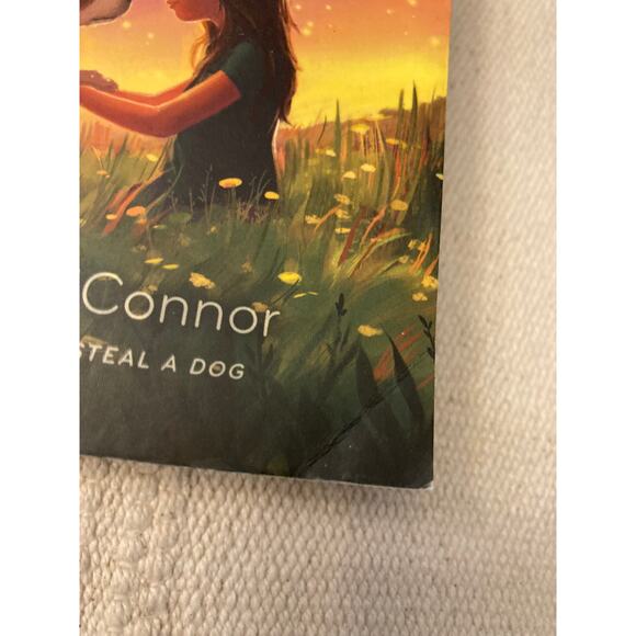 Wish by: Barbara O'Connor  ISBN: 9781250144058 book - Picture 3 of 8